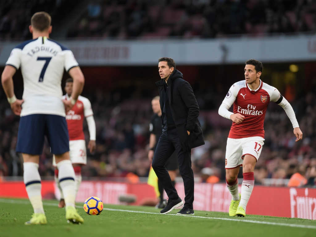 泰山队的 泰山队的